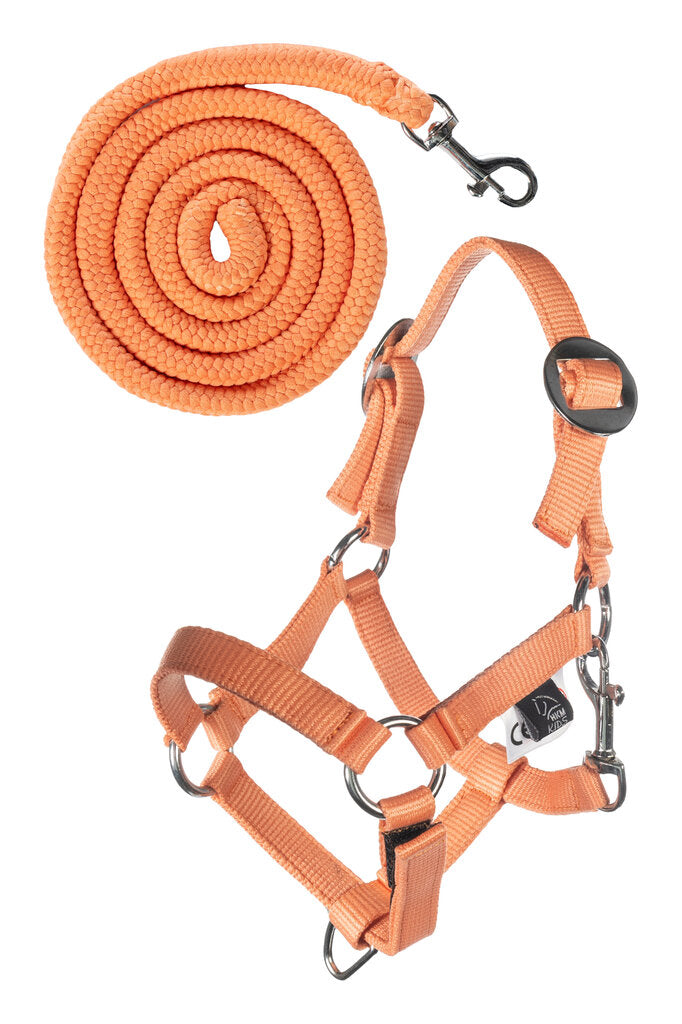 Set Hobby Horse Halfter mit Strick in orange