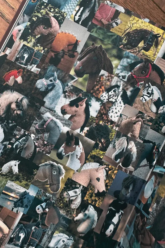 Hobby Horsing Buch | Livea Larsson (Engl.) | Artemis Hobby Horses