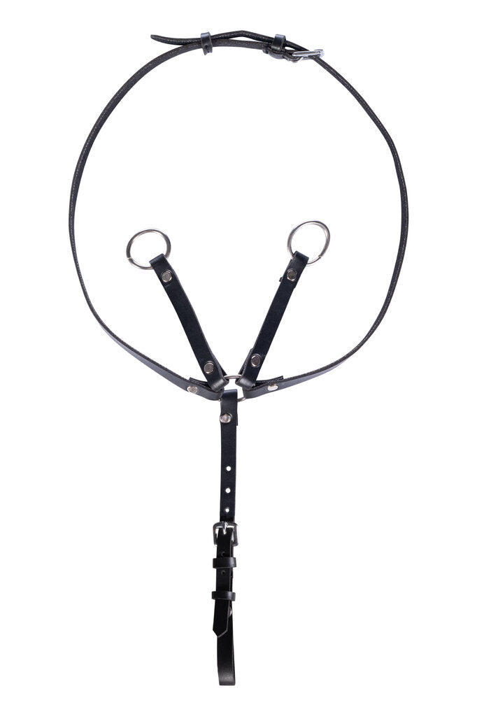 Hobby Horsing Martingal