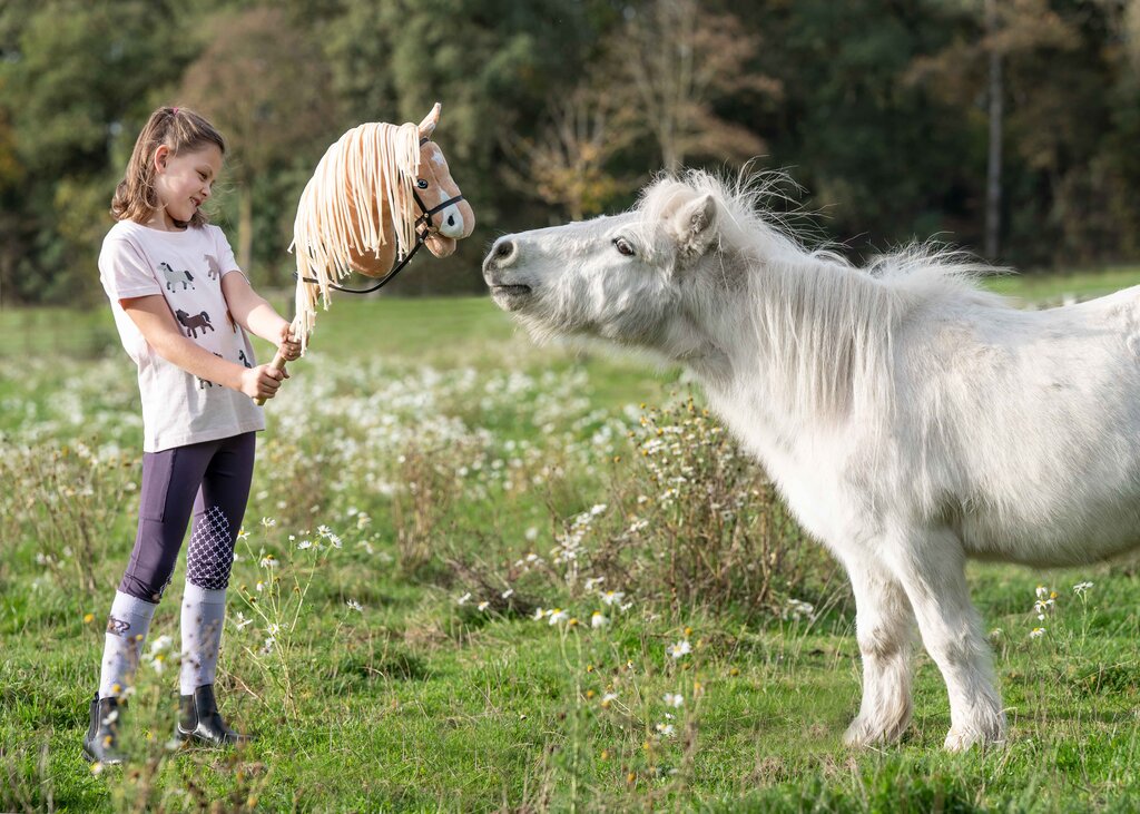 Herzlichen Willkommen auf unserem LOPE.DE Blog - Deine DIY-Welt rund ums Hobby-Horsing!
