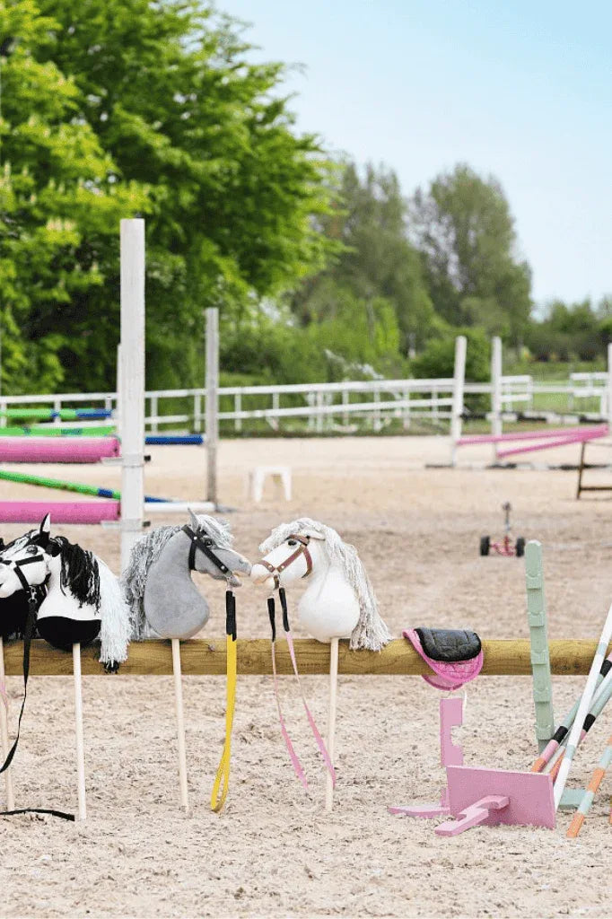 Neuheiten | Hobby Horsing