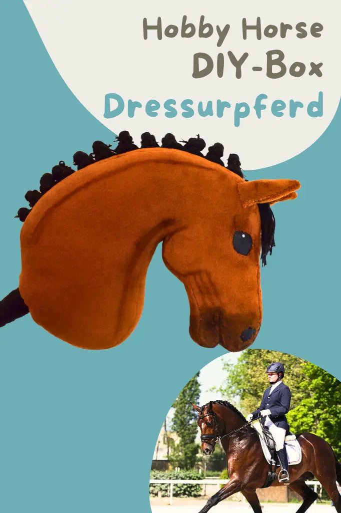 PonyBox | DIY Finnisches Hobby Horse | Dressur