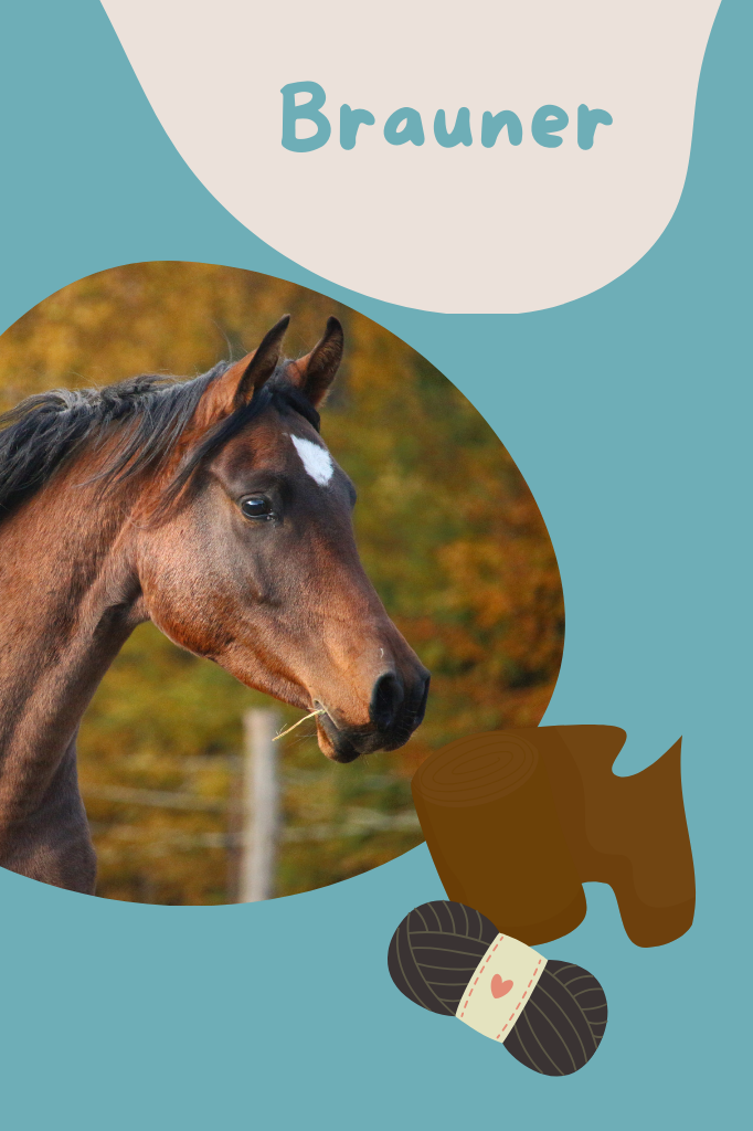 DIY Hobby Horse Farbe Braun