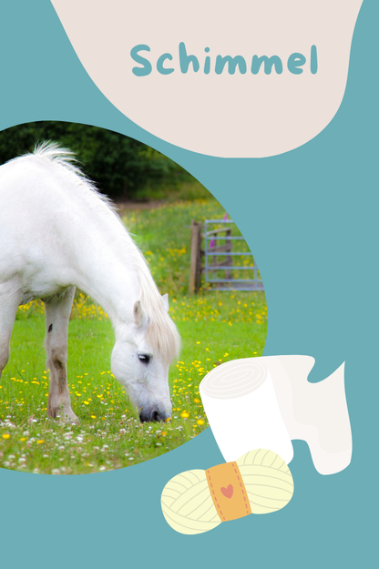 DIY Hobby Horse Farbe Schimmel