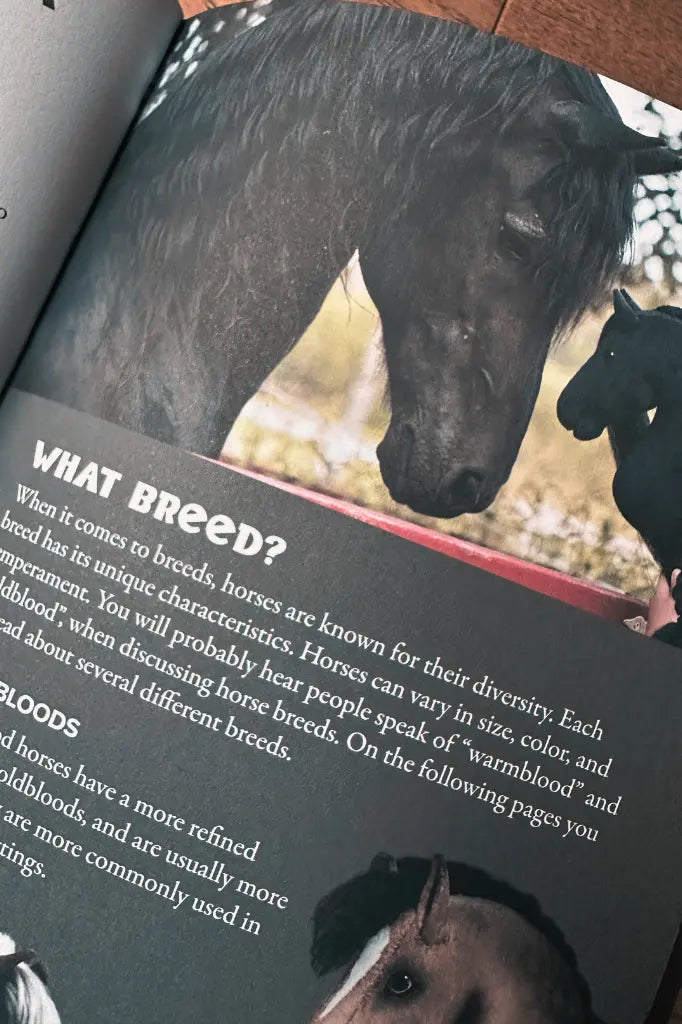 Hobby Horsing Buch | Livea Larsson (Engl.) | Artemis Hobby Horses