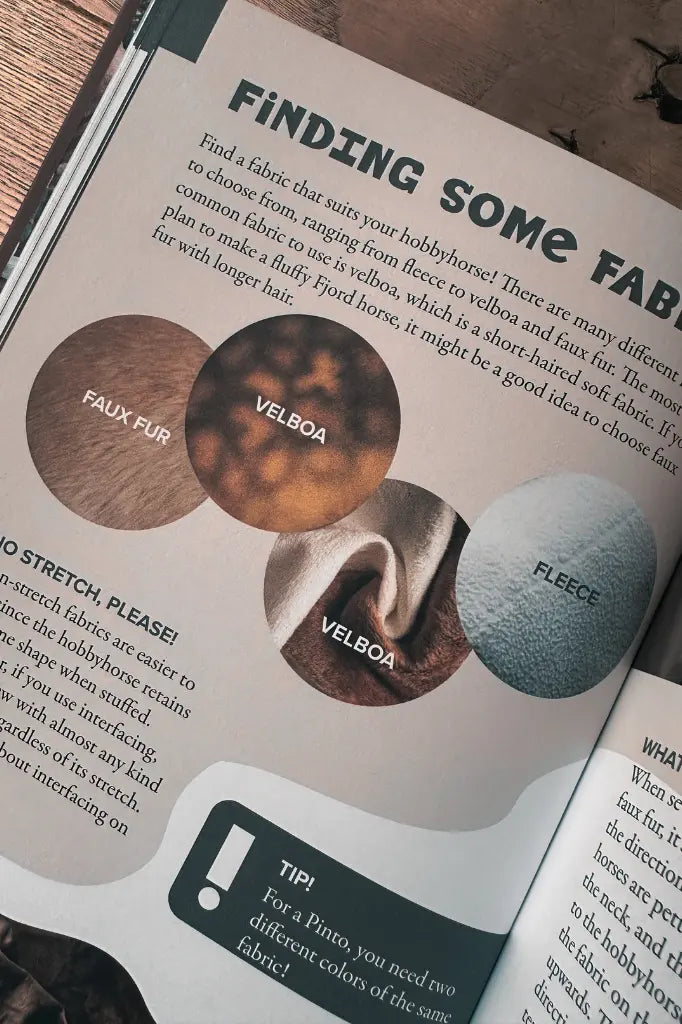 Hobby Horsing Buch | Livea Larsson (Engl.) | Artemis Hobby Horses