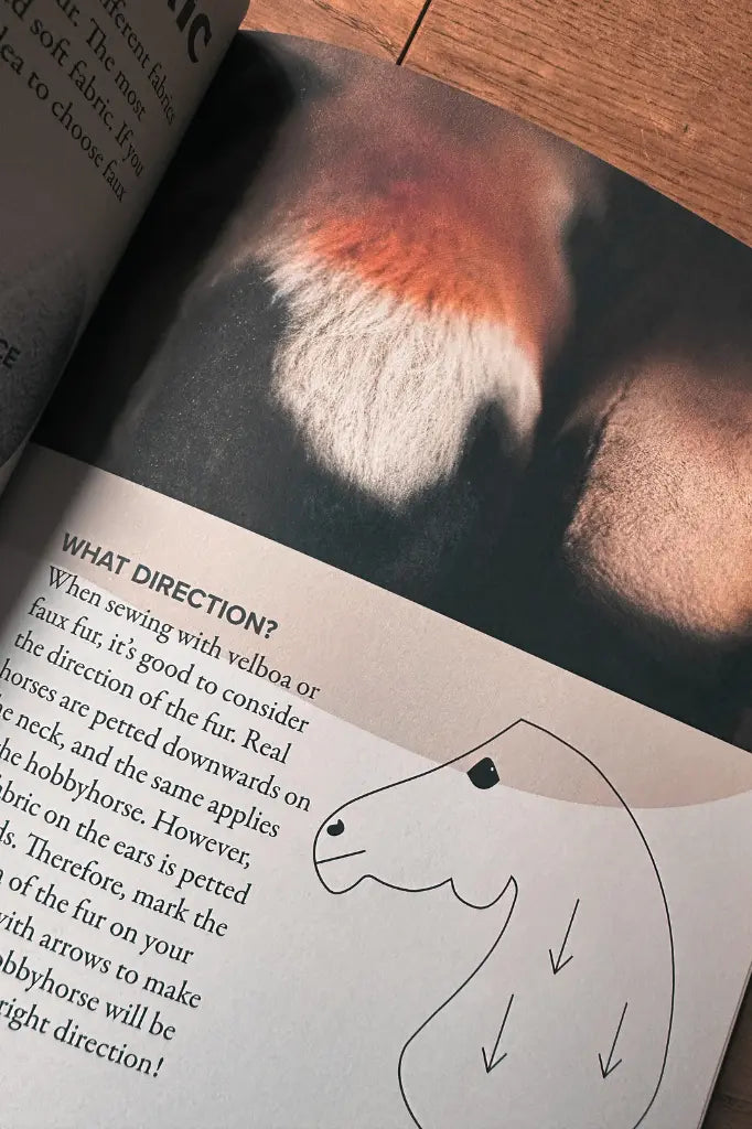 Hobby Horsing Buch | Livea Larsson (Engl.) | Artemis Hobby Horses