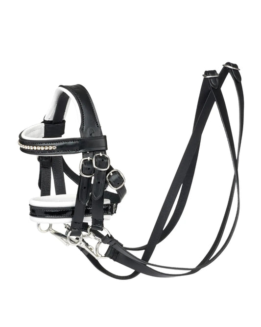 LeMieux Hobby Horse Dressurkandare in Schwarz bei lope.de kaufen: Hochwertiges Echtleder-Zaumzeug in Größe S für kleine Steckenpferde mit Doppelgebiss, zwei Zügelpaaren, Strass-Stirnriemen und weiß unterlegtem Lack-Nasenriemen.