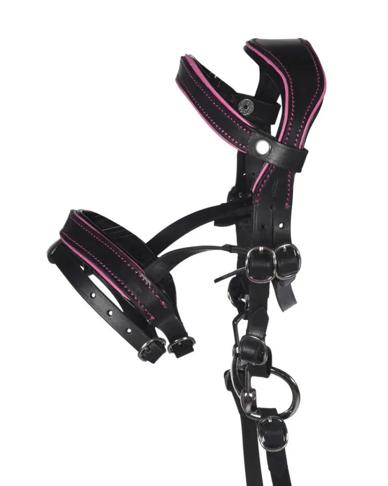 HKM Hobby Horse Ledertrense Manchester in Schwarz-Pink: Hochwertiges englisches Reithalfter in Größe L mit Zügeln und Gebiss für mittelgroße Steckenpferde.