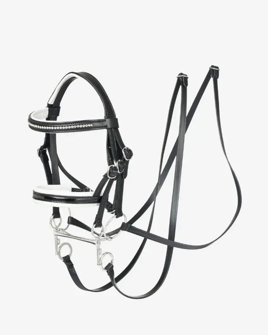 freigestellte le mieux Doppelkandare für hobby horse dressur mit zwei gebissstückeun und zwei paar zügeln, echtleder schwarz mit strass stirnriemen und nasenriemen