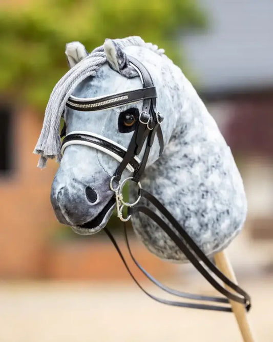 le mieux Doppelkandare für hobby horse dressur an einem apfelschimmel