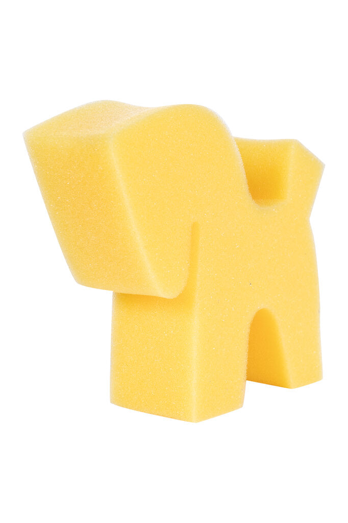 Schwamm in Pferdeform