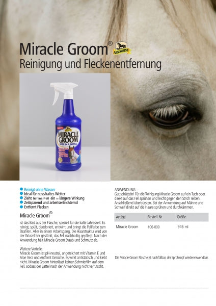 Beschreibung Miracle Groom inklusive Pferdebild im Hintergrund