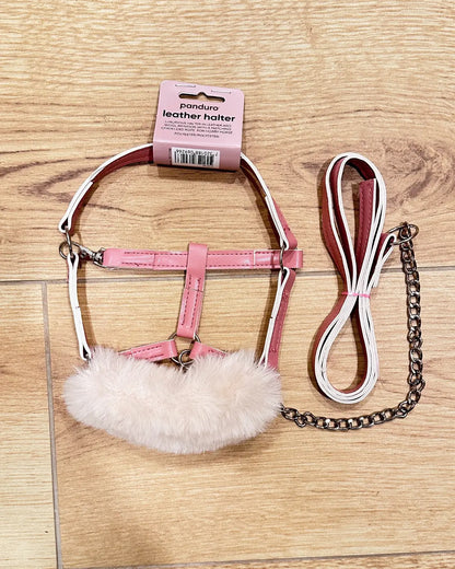 Hobby Horse Halfter in rosa mit Hobby Horse Führkette in rosa mit silberner Kette. Um den Nasenriemen ist weiches Plüschfell
