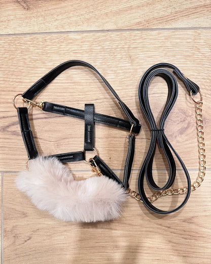 Hobby Horse Halfter in schwarz mit Hobby Horse Führkette in schwarz mit goldfarbener Kette. Um den Nasenriemen ist weiches Plüschfell