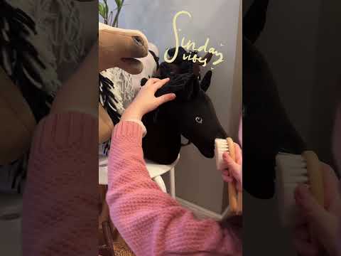 Mädchen striegelt schwarzes HKM Hobby Horse zu chilliger Musik